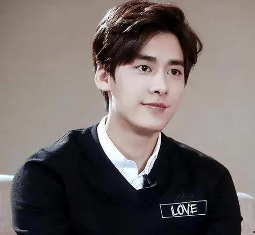 娱乐圈吃瓜李易峰是谁,揭秘“吃瓜”热议的李易峰