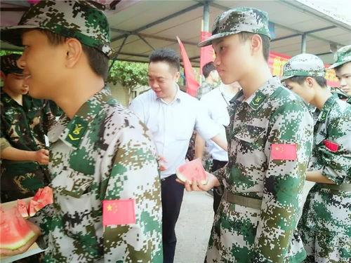 娱乐吃瓜军,吃瓜军背后的故事与真相