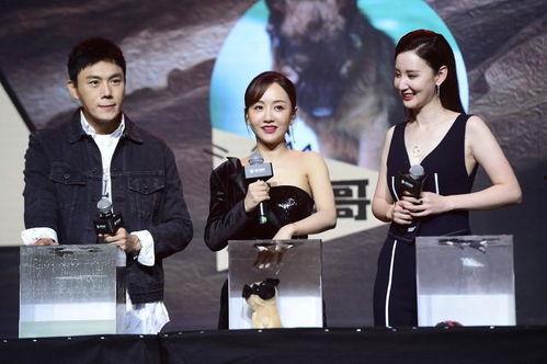 娱乐圈吃瓜大队集合视频